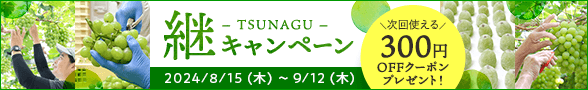 継キャンペーン