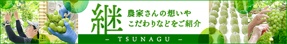 継-TSUNAGU- 農家さんの想いやこだわりなどをご紹介