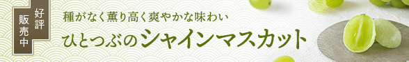 ひとつぶのシャインマスカット販売中