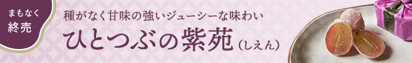 ひとつぶの紫苑まもなく終売