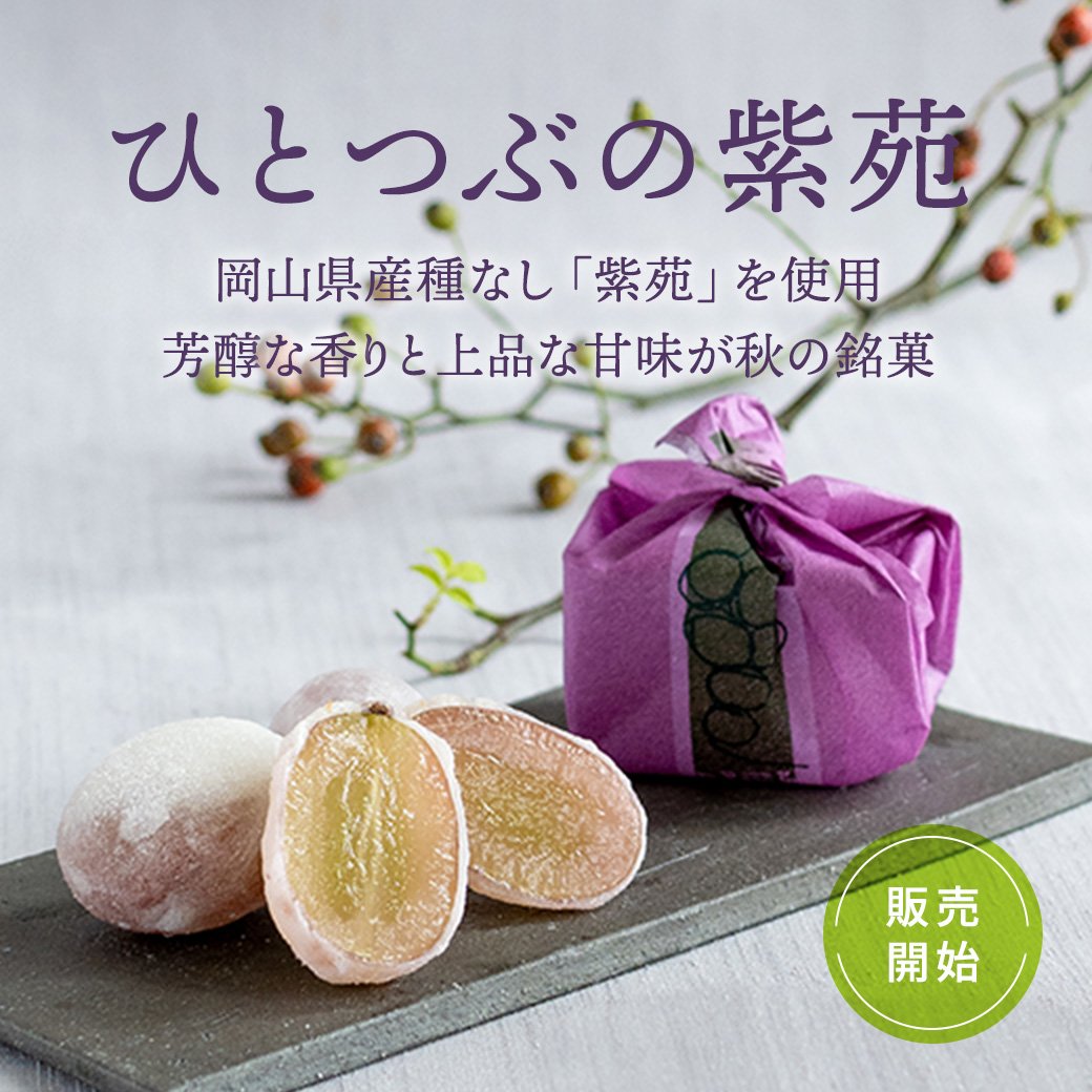 ひとつぶの紫苑(しえん)