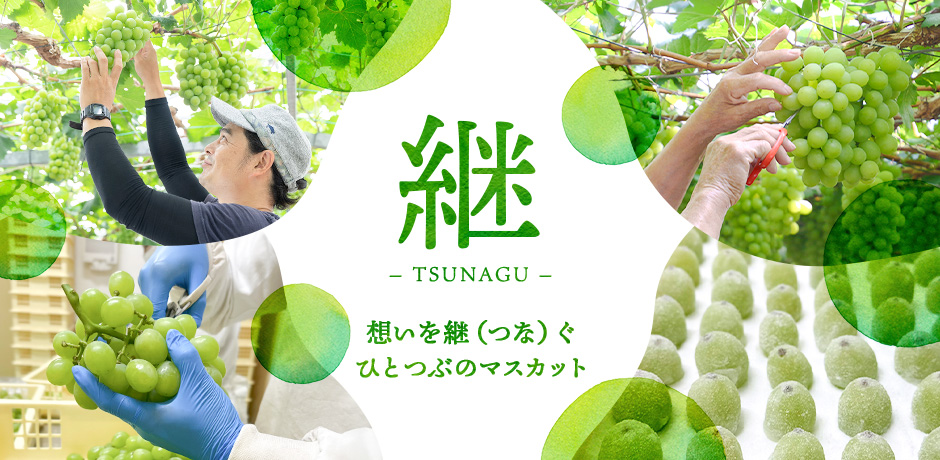 継-TSUNAGU-