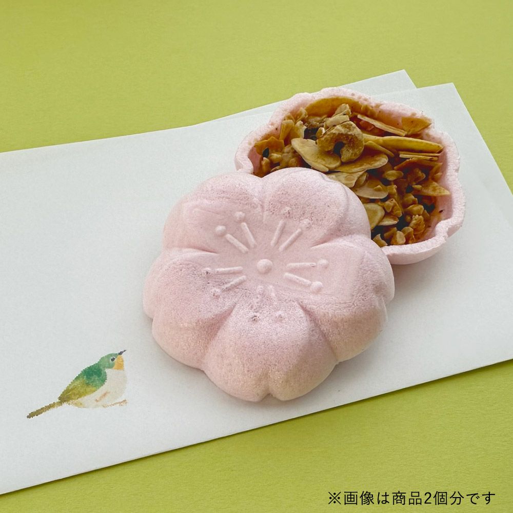 咲く咲くさくらえん10個入 | 旬果瞬菓（しゅんかしゅんか）共楽堂