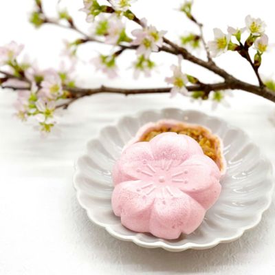 咲くさくらえん 日本抹茶ちょこら