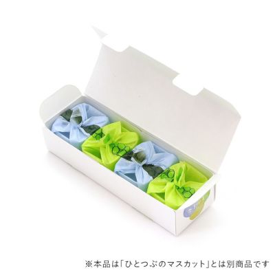 ひとつぶのシャインマスカット・ひとつぶのピオーネ詰合せ