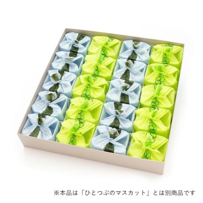 ひとつぶのシャインマスカット・ひとつぶのピオーネ詰合せ