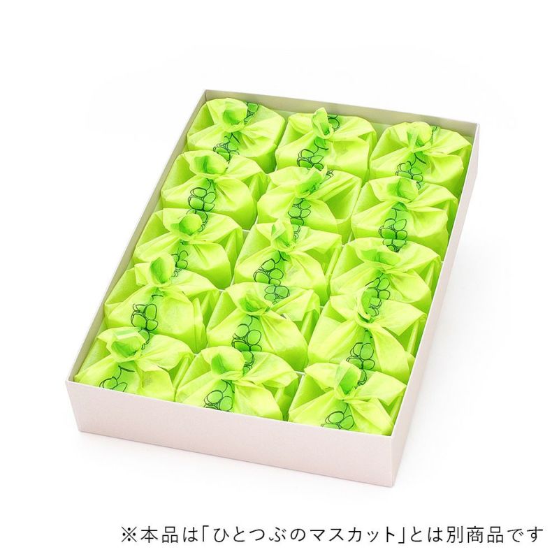 000000000659-01-l.jpg?t=